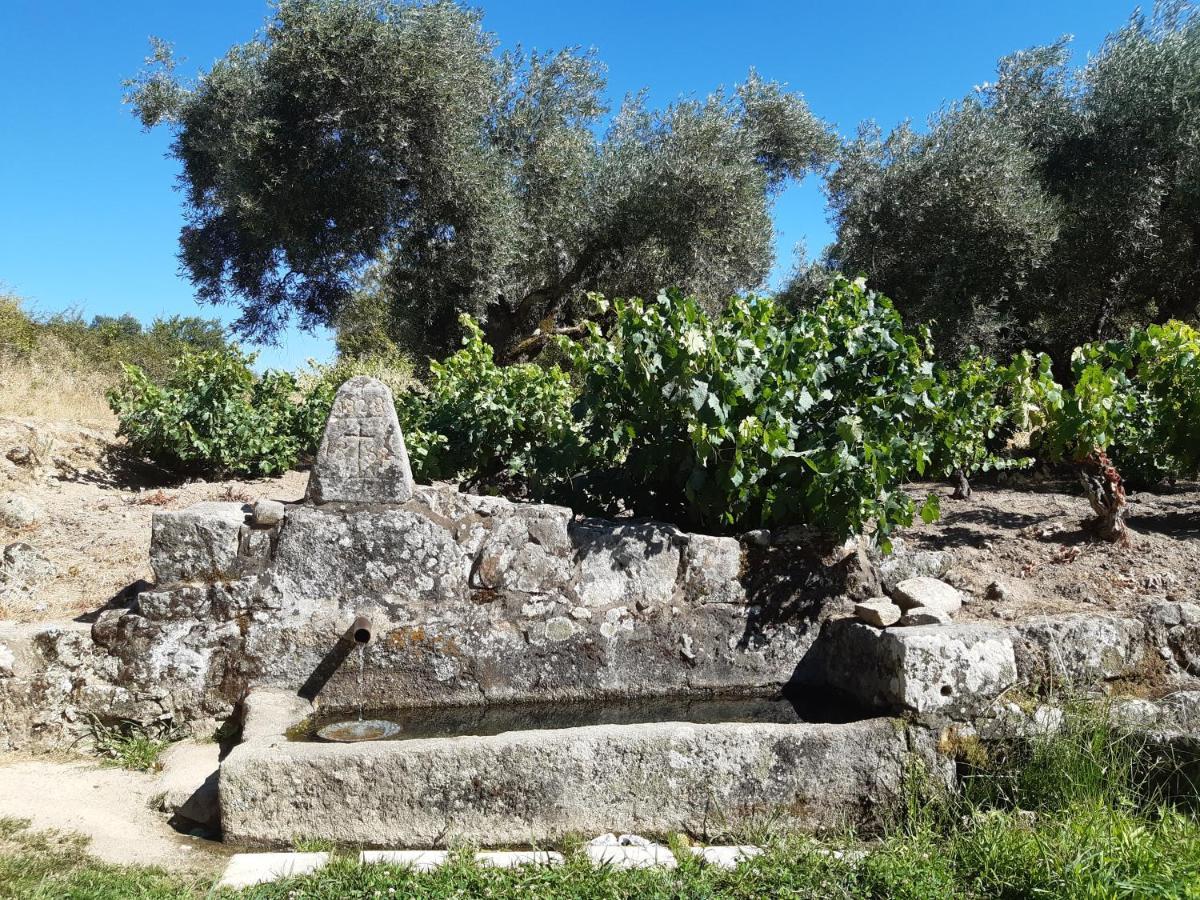 فيلا Casa Cristina ميراندا ديل كاستانيار المظهر الخارجي الصورة